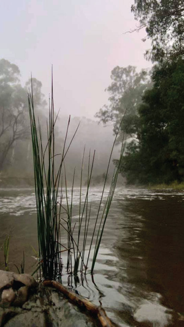 counselling therapies with walk of life therapies